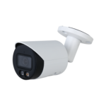 N82DDS2